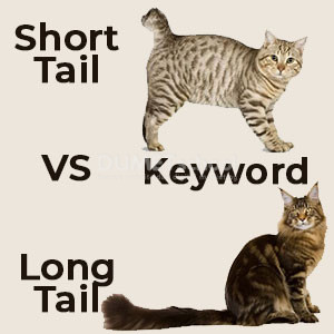 short atau long tail keyword