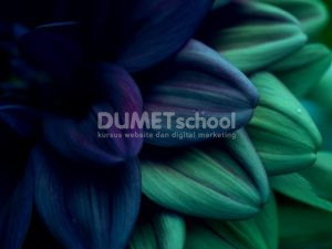 Mengganti Warna Gambar dengan Adjust Color di Adobe Illustrator