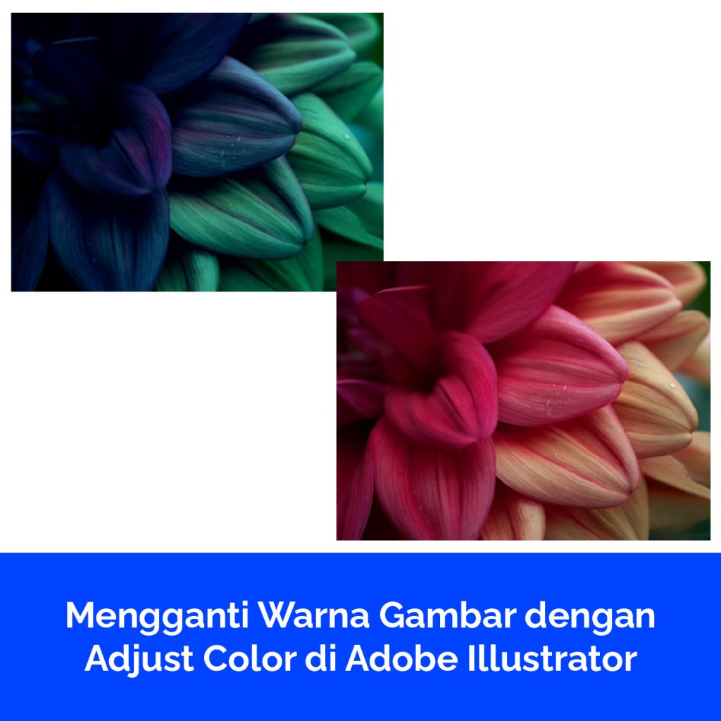 Mengganti Warna Gambar dengan Adjust Color di Adobe Illustrator