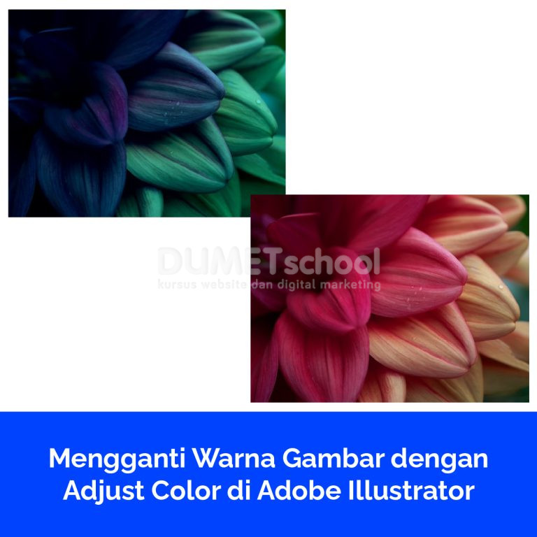 Mengganti Warna Gambar dengan Adjust Color di Adobe Illustrator