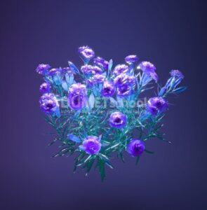 Mengubah Warna Gambar dengan Match Color di Adobe Photoshop