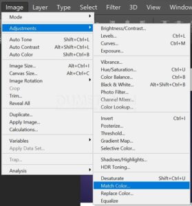 Mengubah Warna Gambar dengan Match Color di Adobe Photoshop