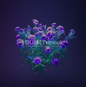 Mengubah Warna Gambar dengan Match Color di Adobe Photoshop