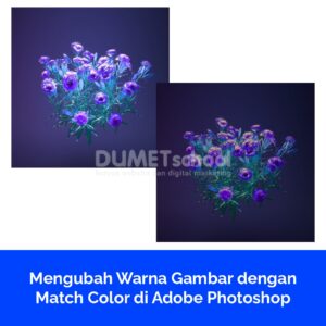 Mengubah Warna Gambar dengan Match Color di Adobe Photoshop
