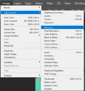 Mengubah Warna Menjadi Pucat dengan Efek Vibrance di Adobe Photoshop