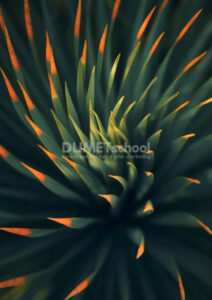 Membuat Gambar Nampak Gelap dengan Exposure di Adobe Photoshop