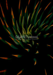 Membuat Gambar Nampak Gelap dengan Exposure di Adobe Photoshop