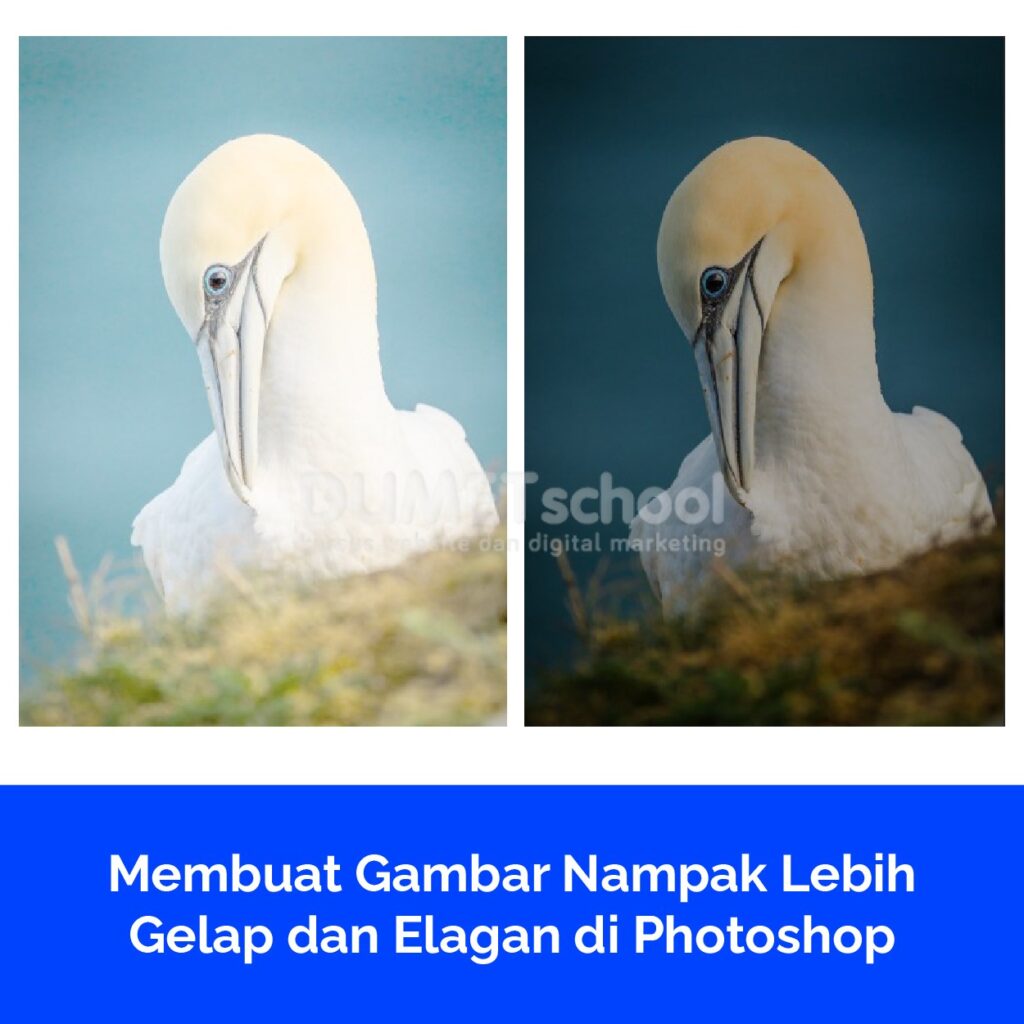 3. Atur Tonal Range: Dalam jendela "Levels," Anda akan melihat grafik histogram yang mencerminkan distribusi tonal dalam gambar. Ada tiga slider utama yang dapat Anda atur: Slider Hitam (Black Input Level): Ini mengendalikan tingkat kecerahan area hitam dalam gambar. Menggeser slider ke kanan akan membuat area yang lebih gelap menjadi lebih terang. Slider Abu-abu (Gray Input Level): Ini memungkinkan Anda menyesuaikan tingkat kecerahan abu-abu (midtone) dalam gambar. Slider Putih (White Input Level): Ini mengontrol tingkat kecerahan area putih dalam gambar. Menggeser slider ke kiri akan membuat area yang lebih terang menjadi lebih gelap. 4. Pratinjau Hasil: Saat Anda menggeser slider, Anda dapat melihat perubahan yang dihasilkan dalam gambar secara real-time. Ini memungkinkan Anda menyesuaikan efek "Levels" hingga mencapai hasil yang diinginkan. 5. Set Input dan Output Levels: Selain slider, Anda juga dapat mengatur nilai input dan output dengan langkah-langkah yang lebih presisi. Ini memungkinkan Anda untuk mengendalikan perubahan dengan angka yang spesifik. 6. Terapkan "Levels": Setelah Anda puas dengan penyesuaian, klik "OK" atau "Apply" untuk menerapkan efek "Levels" pada gambar Anda.