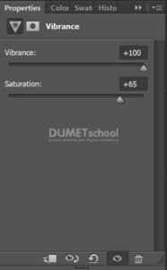 Mengubah Warna Gambar dengan Vibrance di Adobe Photoshop