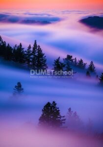 Mengubah Warna Gambar dengan Vibrance di Adobe Photoshop
