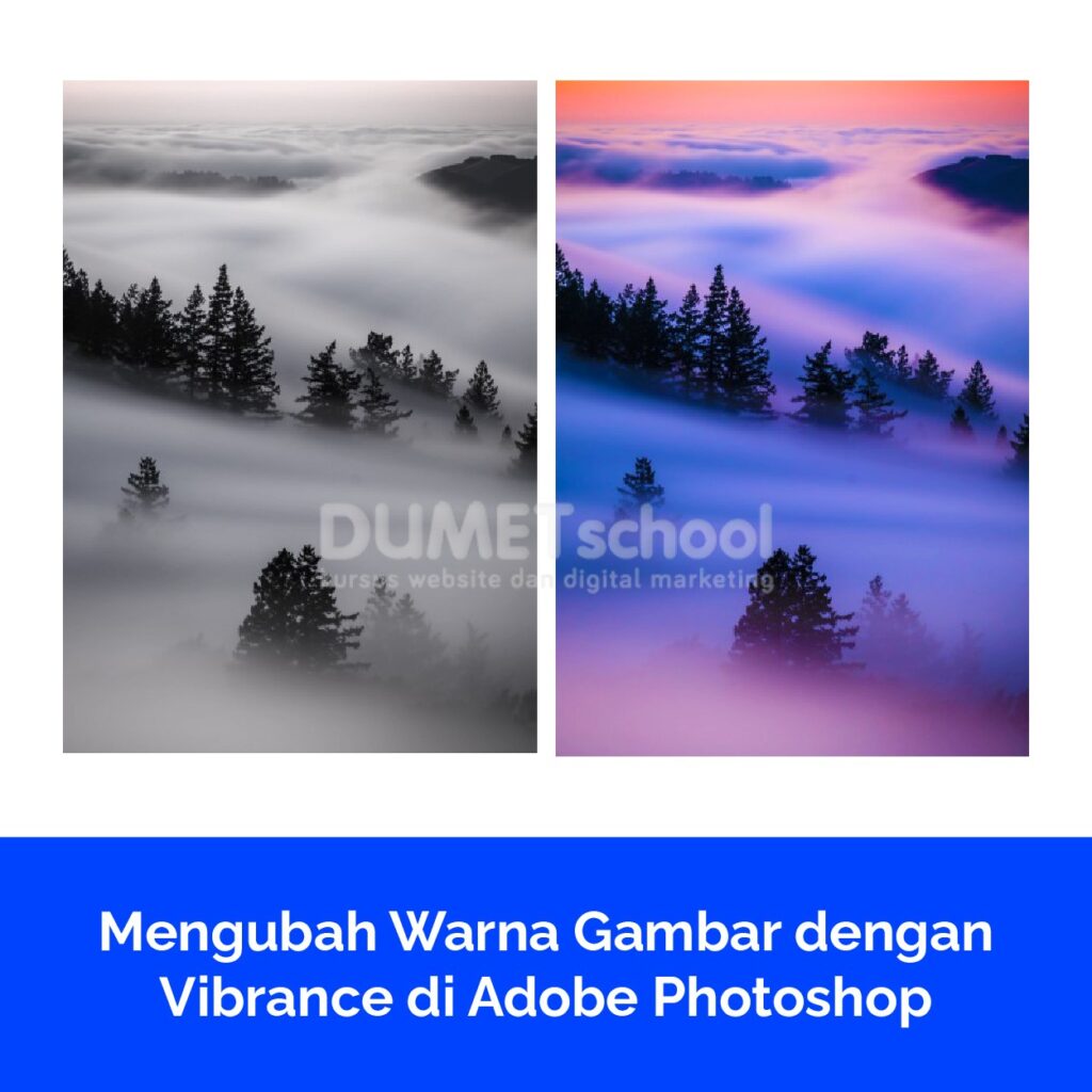 Keunggulan utama dari penggunaan Vibrance adalah kemampuannya untuk meningkatkan kejenuhan warna dalam gambar tanpa mengorbankan detail pada warna yang sudah jenuh. Fitur ini adalah pilihan yang baik untuk gambar yang memiliki warna-warna yang kurang jenuh atau perlu sedikit peningkatan dalam hal warna. Penting untuk digunakan dengan bijak, karena peningkatan yang berlebihan pada Vibrance dapat membuat gambar terlihat tidak alami atau berlebihan. Selalu perhatikan perubahan yang Anda buat dan pastikan hasil akhir sesuai dengan niat Anda dalam pengeditan gambar. Vibrance adalah alat yang berguna untuk mencapai tampilan gambar yang lebih hidup dan seimbang secara visual.