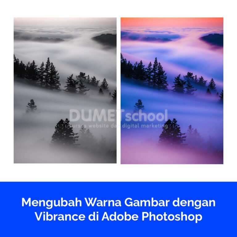 Keunggulan utama dari penggunaan Vibrance adalah kemampuannya untuk meningkatkan kejenuhan warna dalam gambar tanpa mengorbankan detail pada warna yang sudah jenuh. Fitur ini adalah pilihan yang baik untuk gambar yang memiliki warna-warna yang kurang jenuh atau perlu sedikit peningkatan dalam hal warna. Penting untuk digunakan dengan bijak, karena peningkatan yang berlebihan pada Vibrance dapat membuat gambar terlihat tidak alami atau berlebihan. Selalu perhatikan perubahan yang Anda buat dan pastikan hasil akhir sesuai dengan niat Anda dalam pengeditan gambar. Vibrance adalah alat yang berguna untuk mencapai tampilan gambar yang lebih hidup dan seimbang secara visual.
