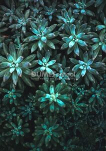 Mengenal Kelebihan HDR Toning di Adobe Photoshop