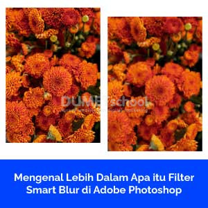 Mengenal Lebih Dalam Apa itu Filter Smart Blur di Adobe Photoshop