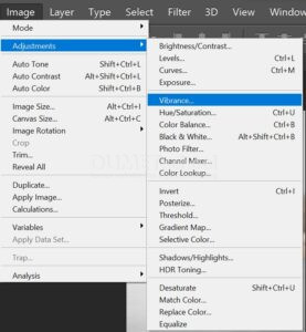 Mengubah Warna Gambar dengan Vibrance di Adobe Photoshop