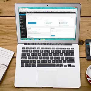 perkembangan wordpress