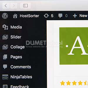 apa itu wordpress