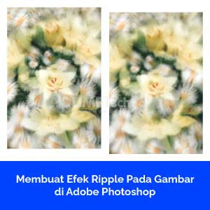 Membuat Efek Ripple Pada Gambar di Adobe Photoshop