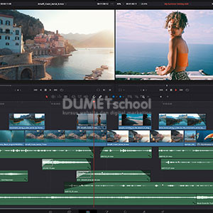 fitur davinci resolve