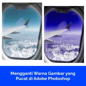 Mengganti Warna Gambar yang Pucat di Adobe Photoshop