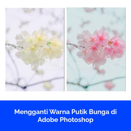 Mengganti Warna Putik Bunga di Adobe Photoshop