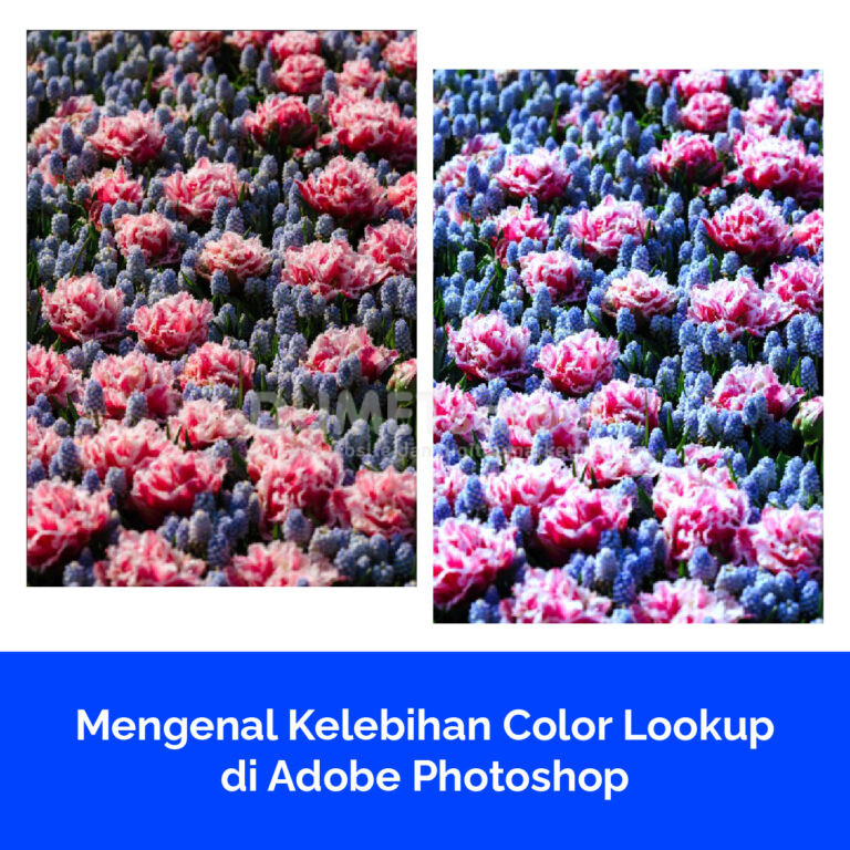 Mengenal Kelebihan Color Lookup di Adobe Photoshop