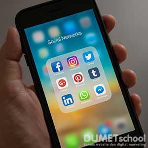 apa itu smm