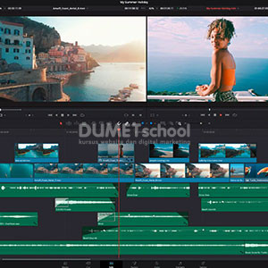 tips davinci resolve