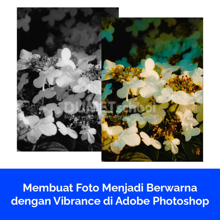 Membuat Foto Menjadi Berwarna dengan Vibrance di Adobe Photoshop