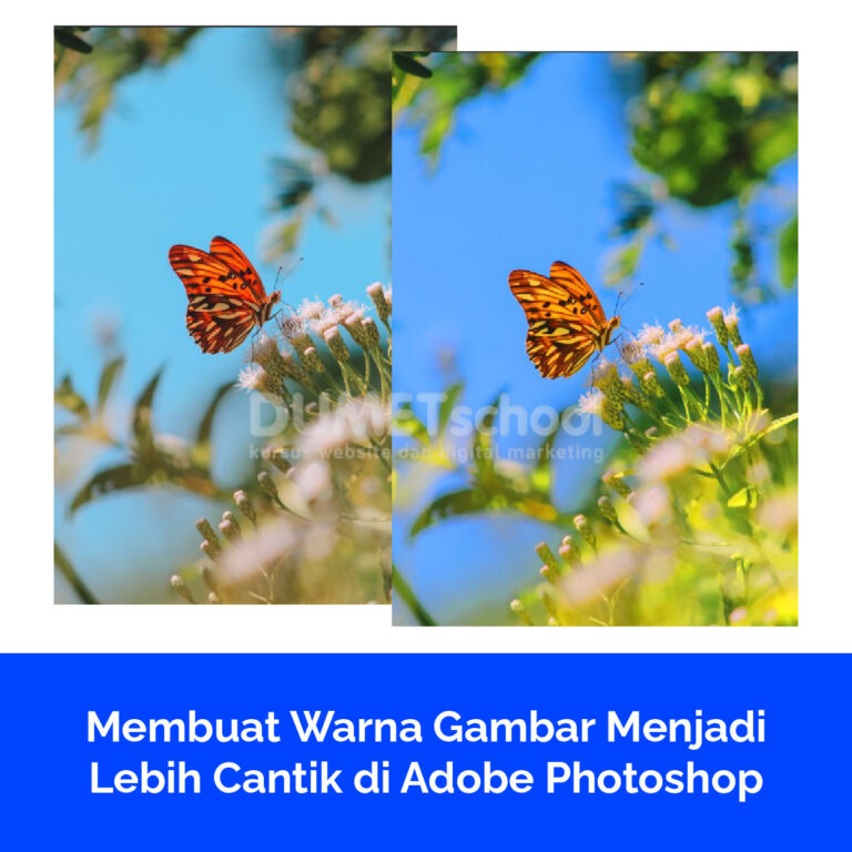 Membuat Warna Gambar Menjadi Lebih Cantik di Adobe Photoshop