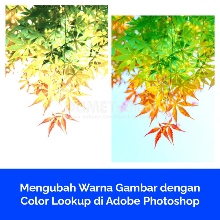 Mengubah Warna Gambar dengan Color Lookup di Adobe Photoshop