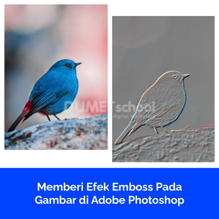 Memberi Efek Emboss Pada Gambar di Adobe Photoshop