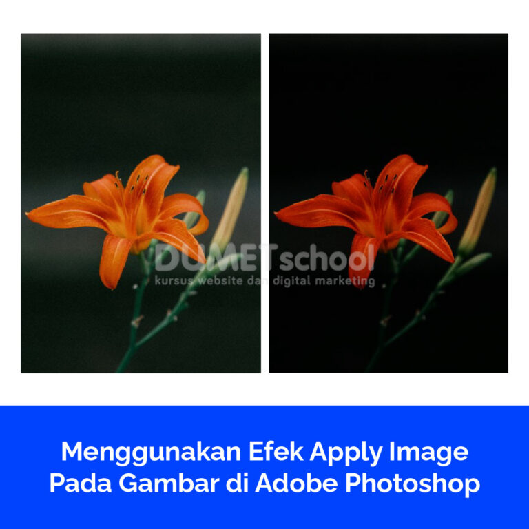 Menggunakan Efek Apply Image Pada Gambar di Adobe Photoshop