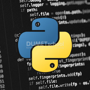 dasar python
