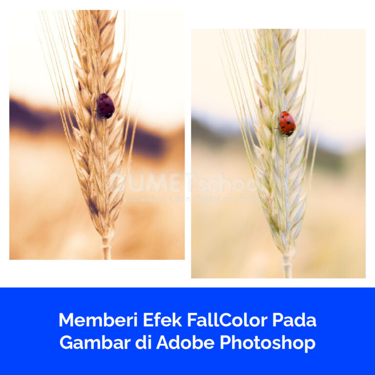 Memberi Efek FallColor Pada Gambar di Adobe Photoshop