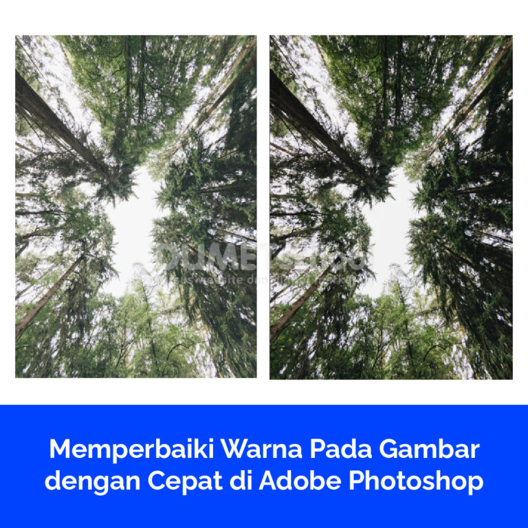 Memperbaiki Warna Pada Gambar dengan Cepat di Adobe Photoshop