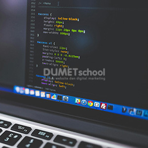 tips web developer