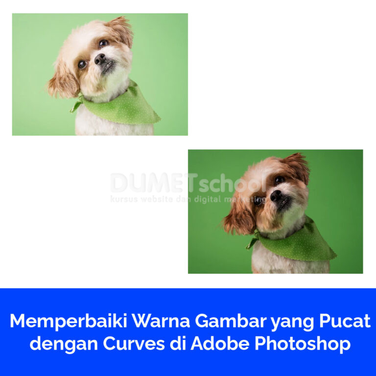 Memperbaiki Warna Gambar yang Pucat dengan Curves di Adobe Photoshop