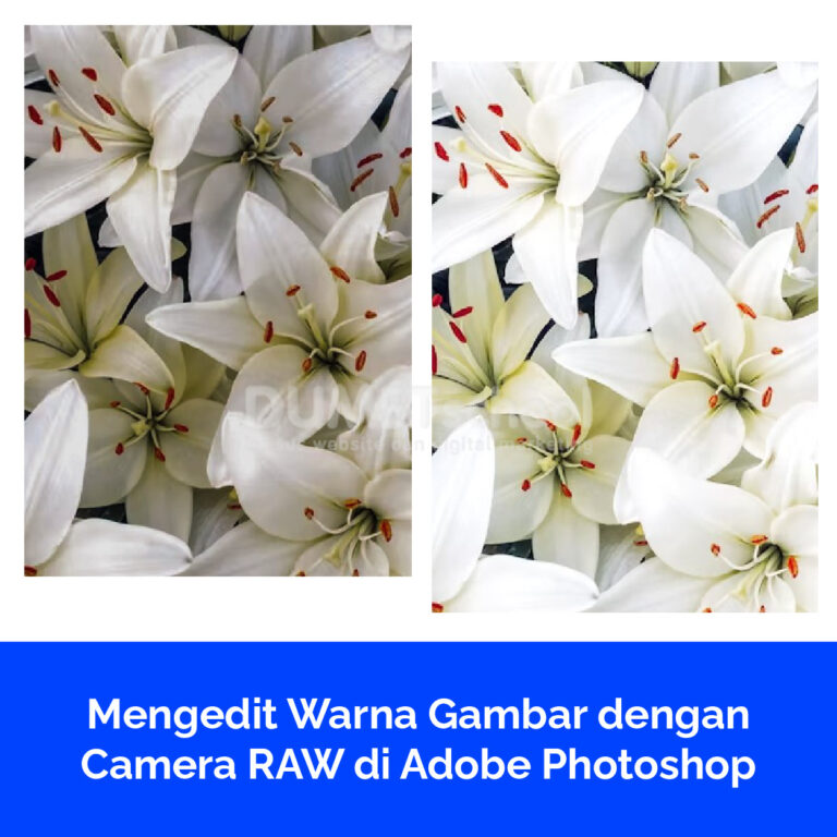 Mengedit Warna Gambar dengan Camera RAW di Adobe Photoshop