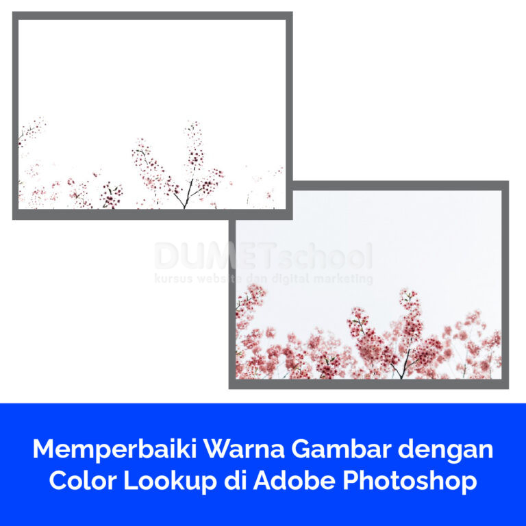 Memperbaiki Warna Gambar dengan Color Lookup di Adobe Photoshop