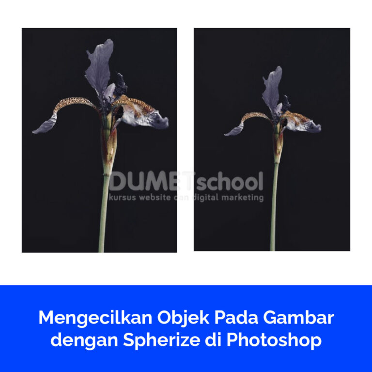 Mengecilkan Objek Pada Gambar dengan Spherize di Photoshop