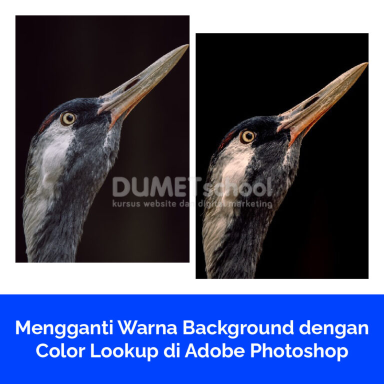 Mengganti Warna Background dengan Color Lookup di Adobe Photoshop