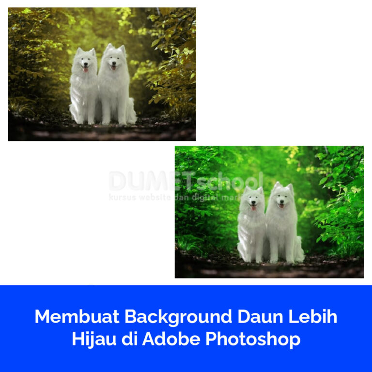 Membuat Background Daun Lebih Hijau di Adobe Photoshop