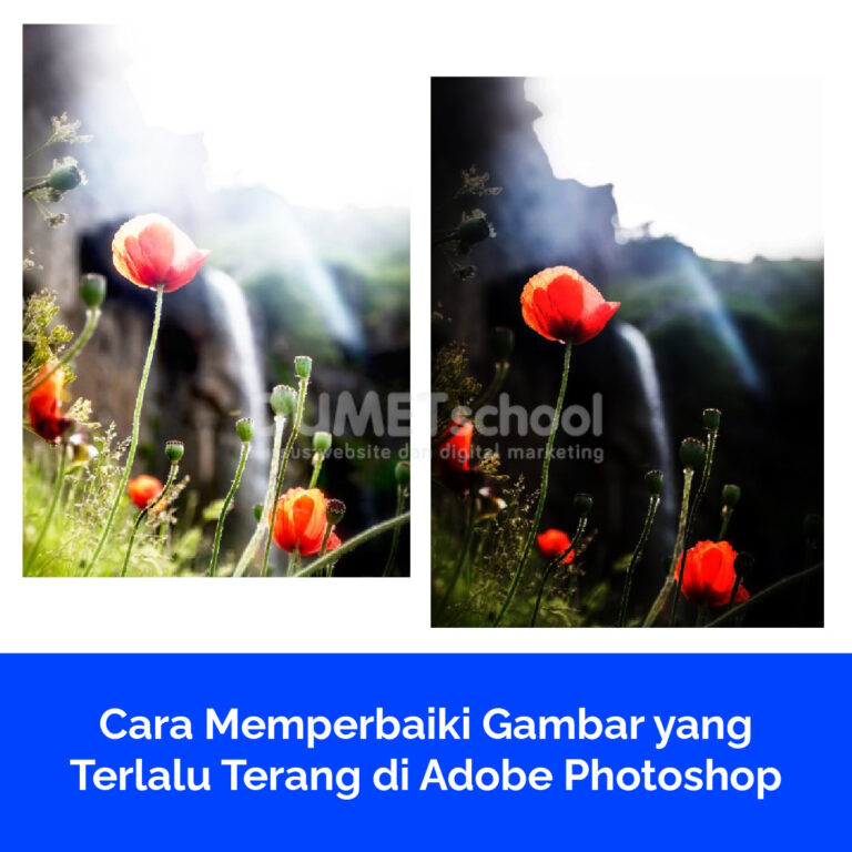 Cara Memperbaiki Gambar yang Terlalu Terang di Adobe Photoshop