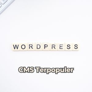cms terpopuler