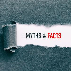 mitos fakta wordpress