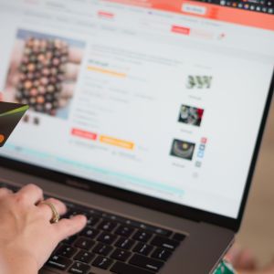 seo toko online