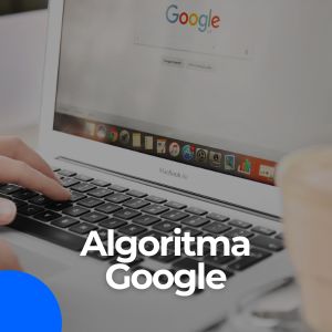 update algoritma google