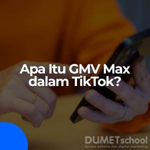 gmv max