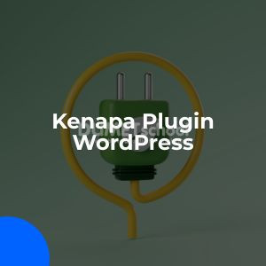 kenapa plugin wordpress